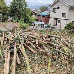 竹ウッドチップ　伐倒済　竹　持ち帰り放題　薪　キャンプ薪