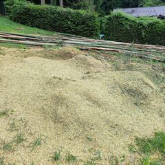 竹ウッドチップ　伐倒済　竹　持ち帰り放題　薪　キャンプ薪の画像