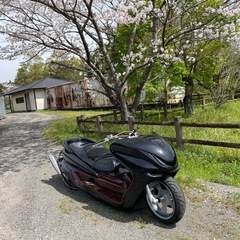 マジェスティ250エアサス 