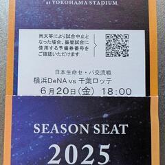 交流戦
6月20日(金) 横浜DeNAベイスターズVS千葉ロッテ...