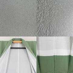 色無地 袷 緑色 一つ紋 蔦紋 地紋入り 広衿 正絹 仕立て上がり 身丈158cm 【キモノオフ野々市若松店】の画像