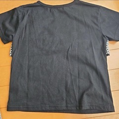 ALGY ギンガムチェックフリルTシャツの画像