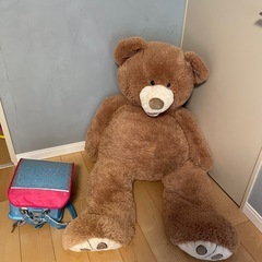 処分予定！早めのご連絡お待ちしております！コストコ　テディベア　の画像