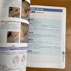 機能解剖学的触診技術　テキスト2冊　やや書き込みありの画像