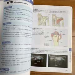 機能解剖学的触診技術　テキスト2冊　やや書き込みありの画像