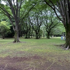 動画講座