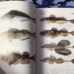 北の魚、釣りの本の画像