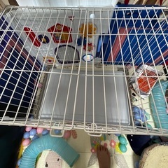 ケージ　ペットケージ　犬の画像