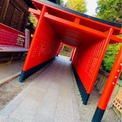 メンバー募集