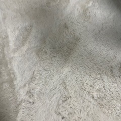 ニトリ　カーペット200x240 
