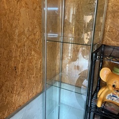 ショーケース