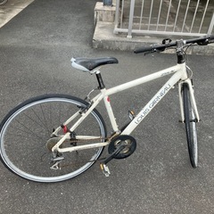ルイガノ　LGS-RSR4 の画像