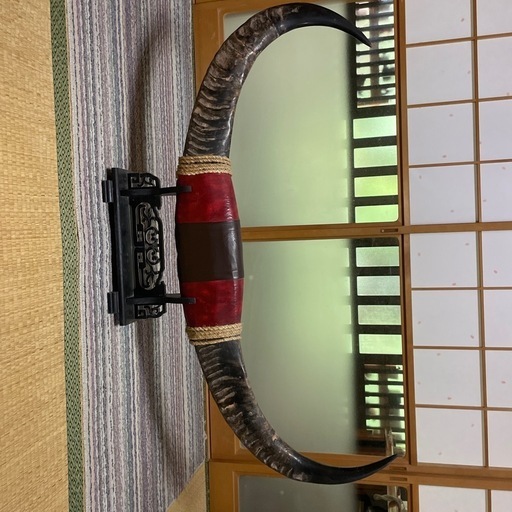 水牛の角