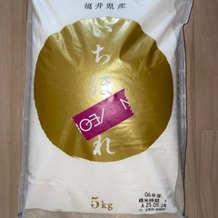 ⭐︎R6年度産　福井県産いちほまれ5kg⭐︎