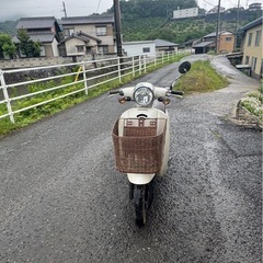 ジョルノAF70