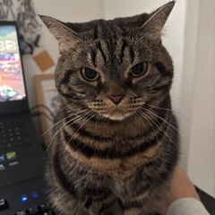 人ととても親しんでいる肉まんちゃん