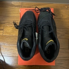 Nike CORNERSTONE LEATHER MID 25.0cm ブラック
の画像