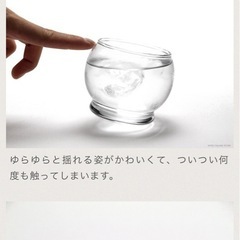 ノーマン コペンハーゲン揺れるグラス2つの画像