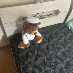 使用期間半年の画像