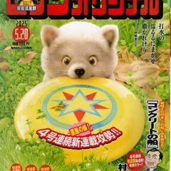 ビッグコミックオリジナル 2025年10号（2025年5月2日発売)
