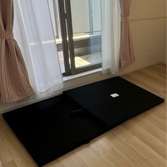 ‼️最終値下げ‼️Francfrancベッドフレーム　の画像