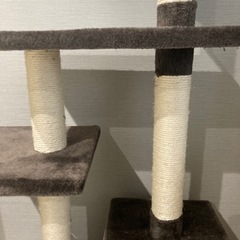 キャットタワーの画像