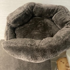 キャットタワーの画像