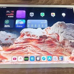Apple iPad PRO 第二世代 12.9インチ 256GB ②