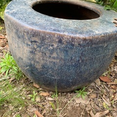 日鉢