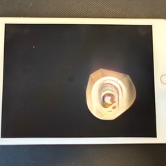 ジャンク品(動作あり)iPad
