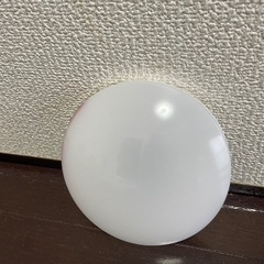 電気