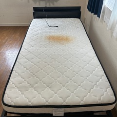 シングルベット