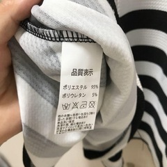 ストライプTシャツの画像