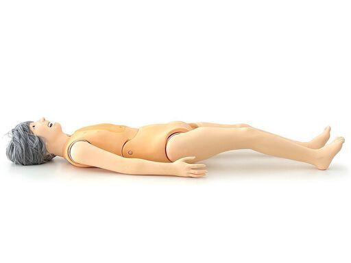 北海道 千歳市/恵庭市 近郊配送 京都科学 介護実習モデル ケイコ 149cm/15kg 高齢者全身モデル 義歯脱着可能 かつら付 女性 人形 介護実習 等身大 医療的ケア