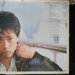 LP レコード 邦楽　稲垣潤一『シャイライツ』2枚目のアルバムですの画像