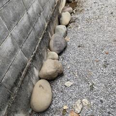 丸い石  お庭にどうですか？の画像