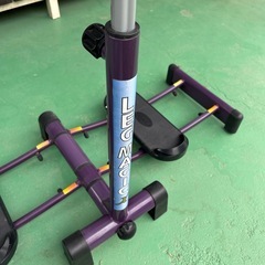 レッグマジックの画像