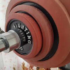 ファイティングロード ベンチプレスの画像