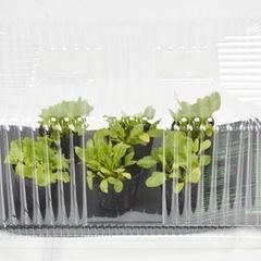 国華園　植物ヒーターマット&保温マット