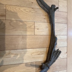 流木