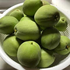 若桃　1kg