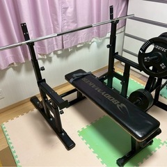 美品　IROTECアイロテックBODYMAKERボディメーカーバ...