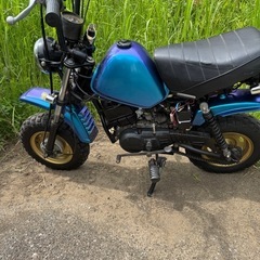 YAMAHA ポッケ