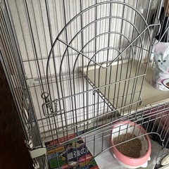 キャットゲージ　猫ちゃんの画像