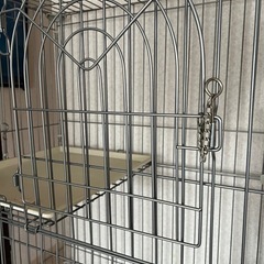 キャットゲージ　猫ちゃんの画像