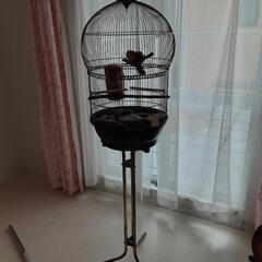 鳥かご