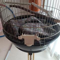 鳥かごの画像