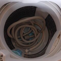 TOSHIBA洗濯機2014年製の画像