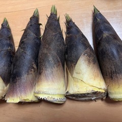 天然タケノコ