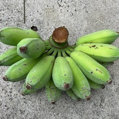 無農薬アップルバナナ